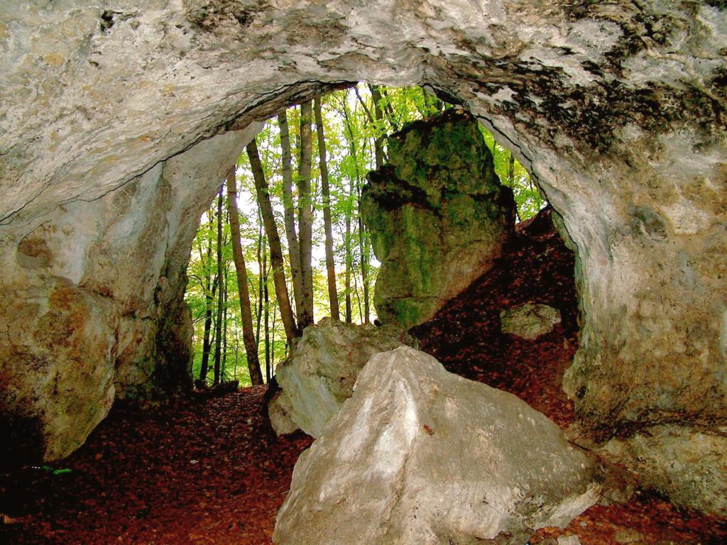 Wnętrze jaskini