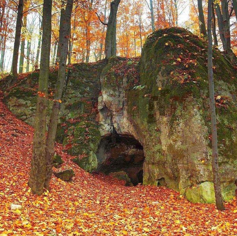 Wnętrze wejścia do jaskini otoczone jesiennymi liśćmi
