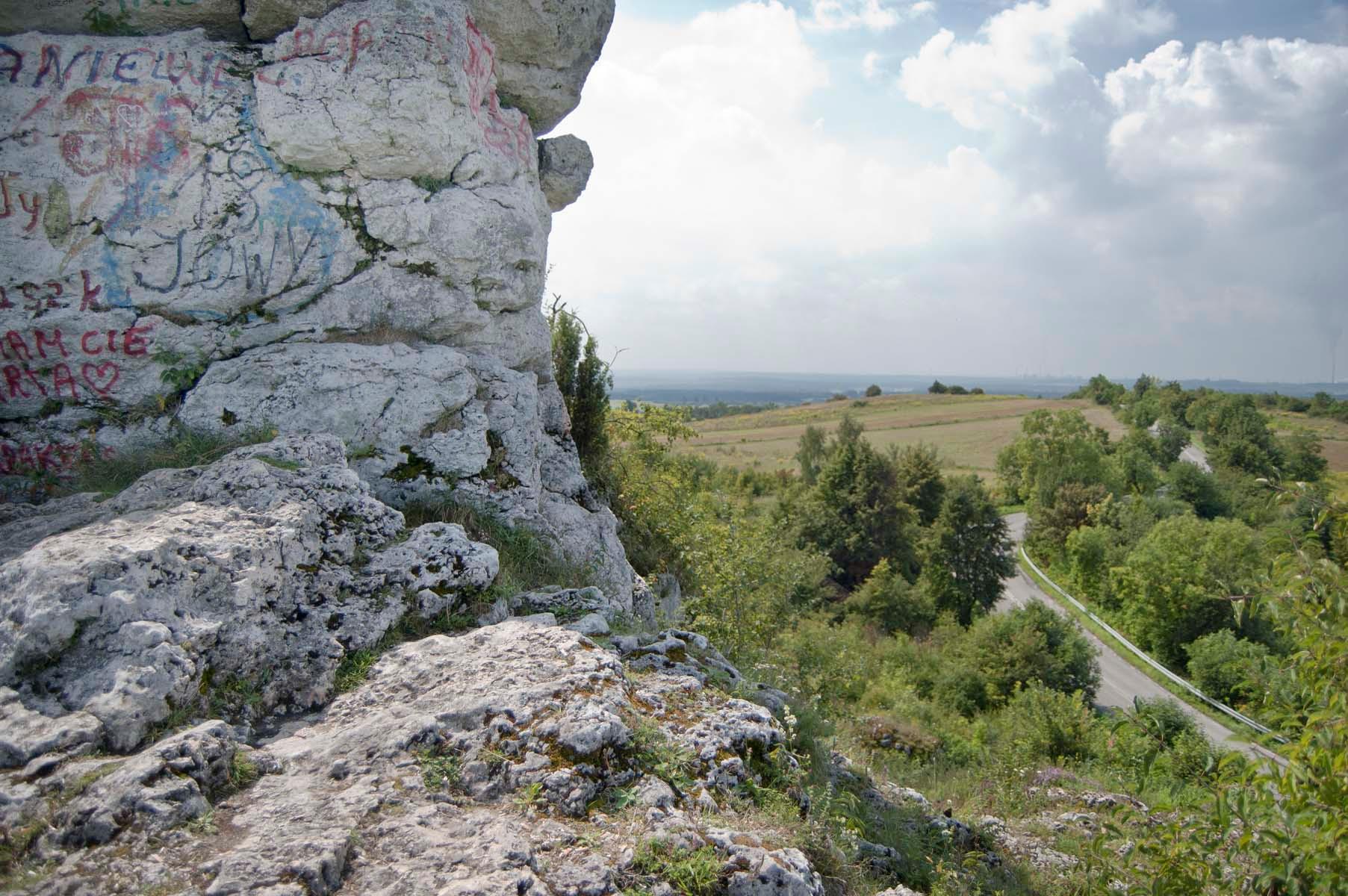 Jura Krakowsko-Częstochowska ze skałami i zieloną roślinnością
