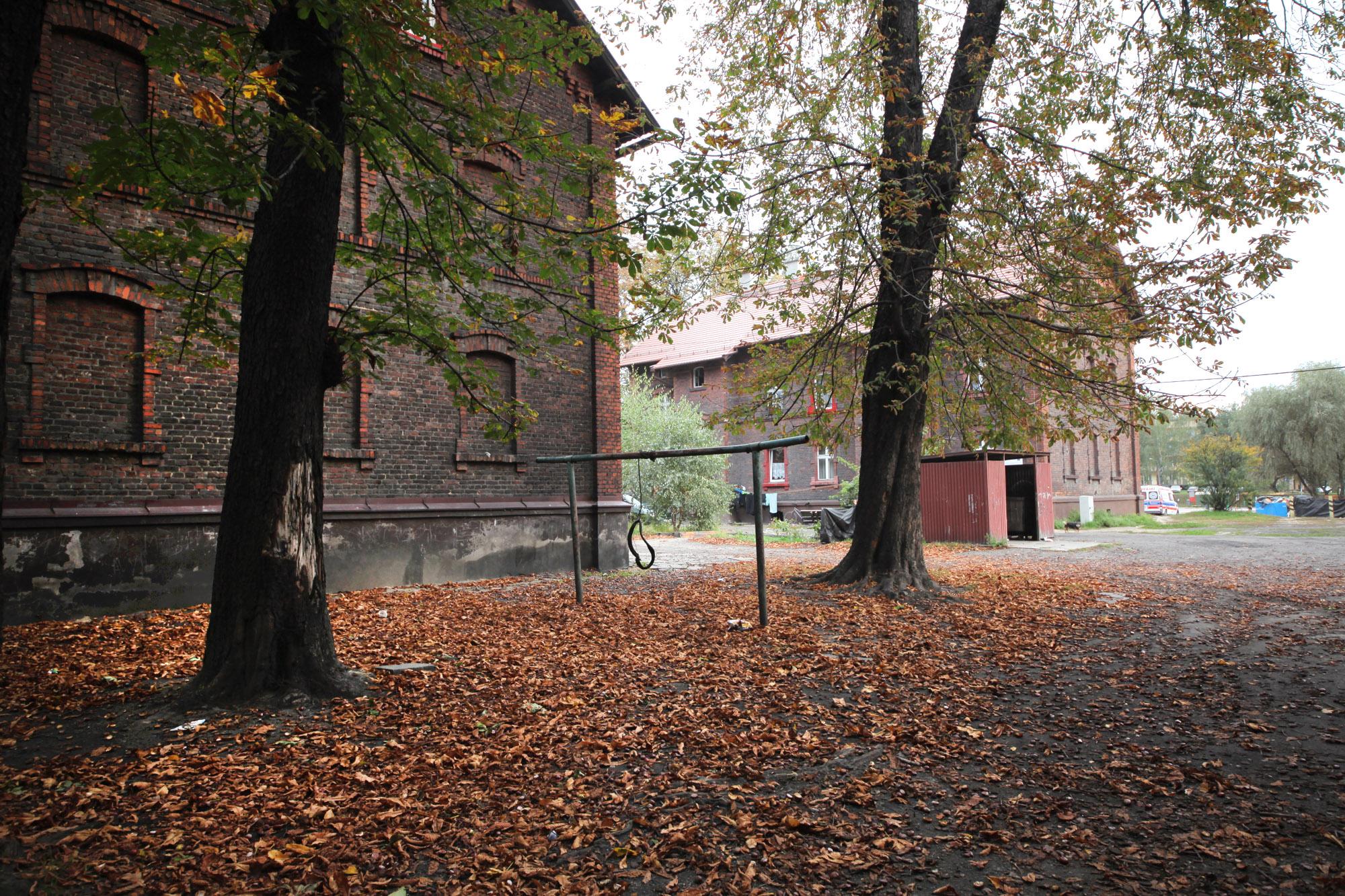 Trzepak wśród jesiennych liści obok kamienicy z czerwonej cegły