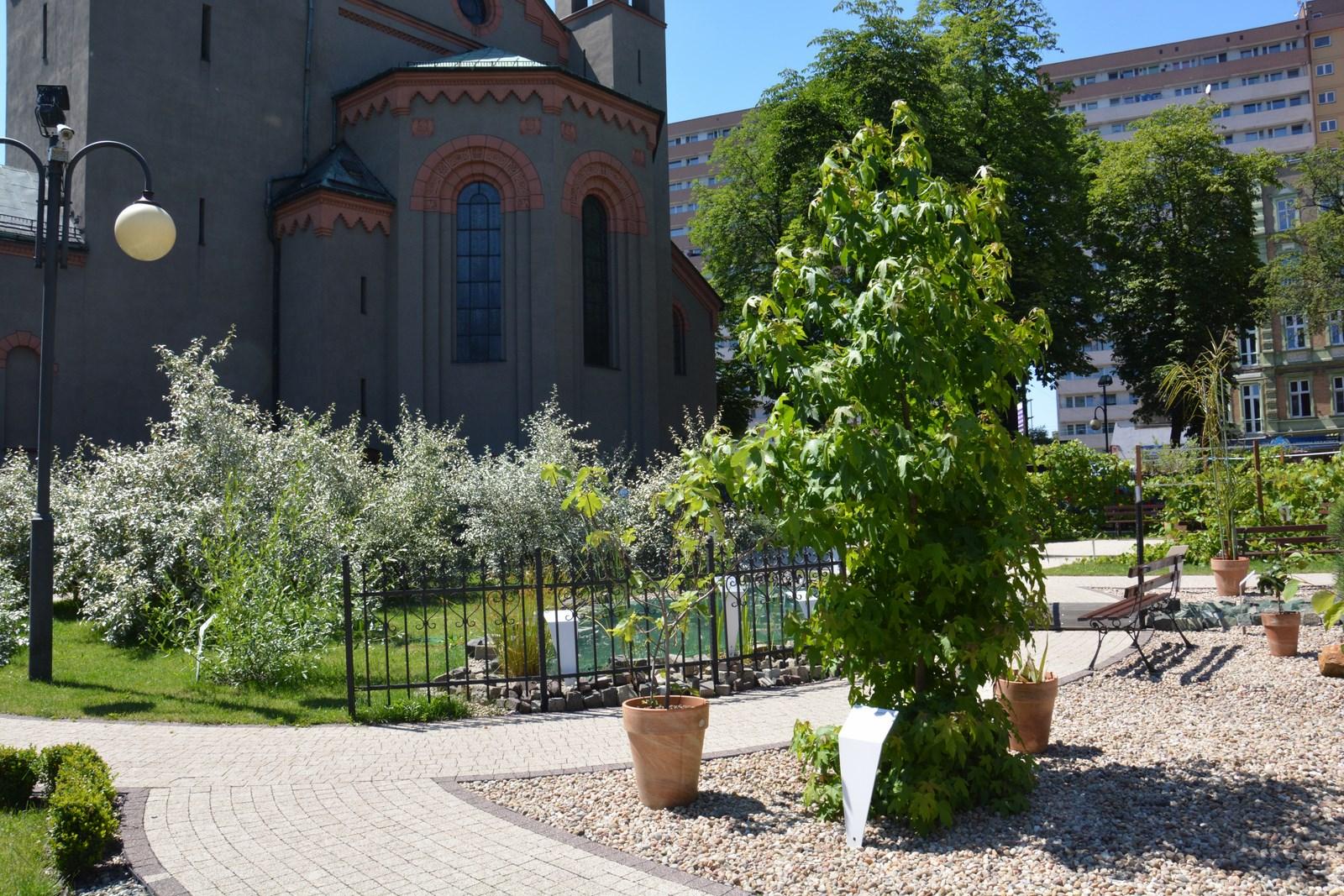 Ogród Biblijny w Chorzowie