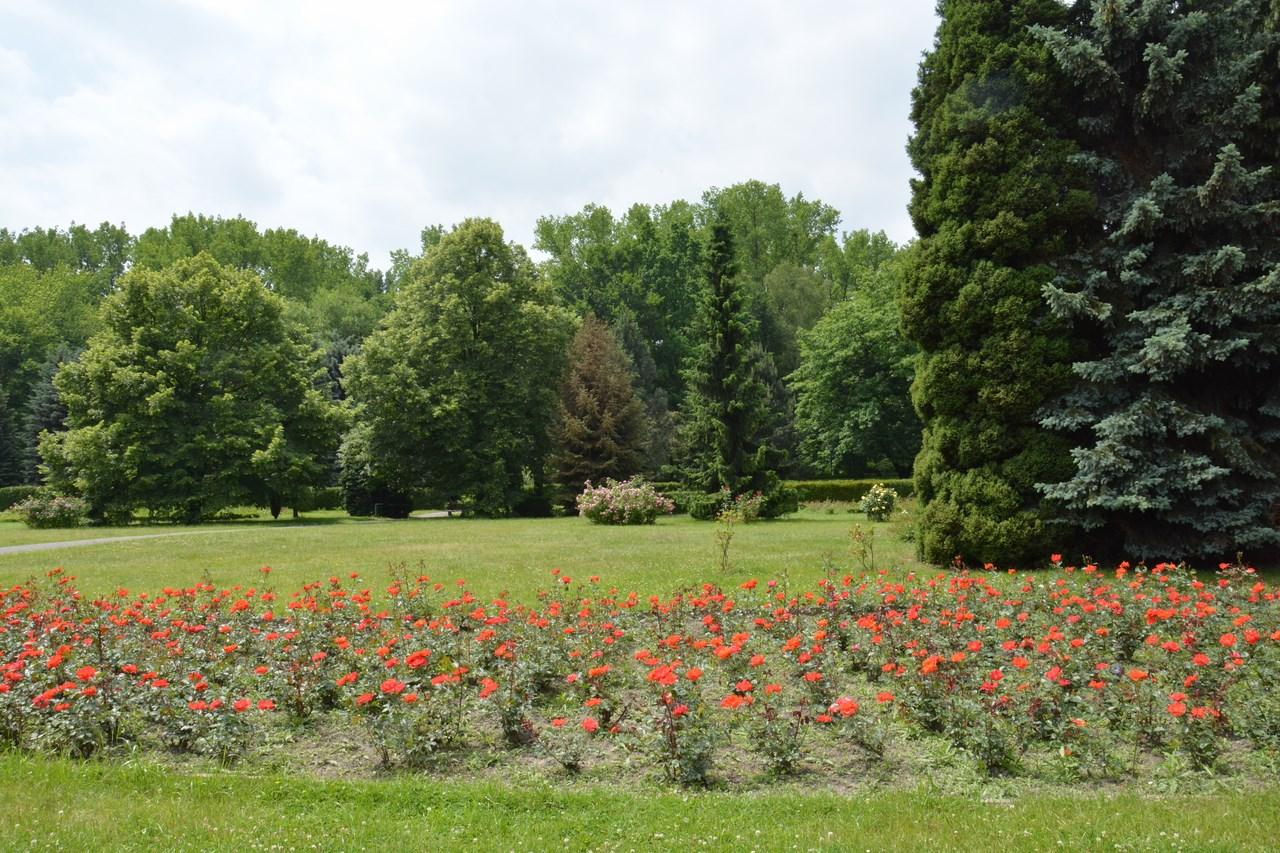 Rosarium w Parku Śląskim