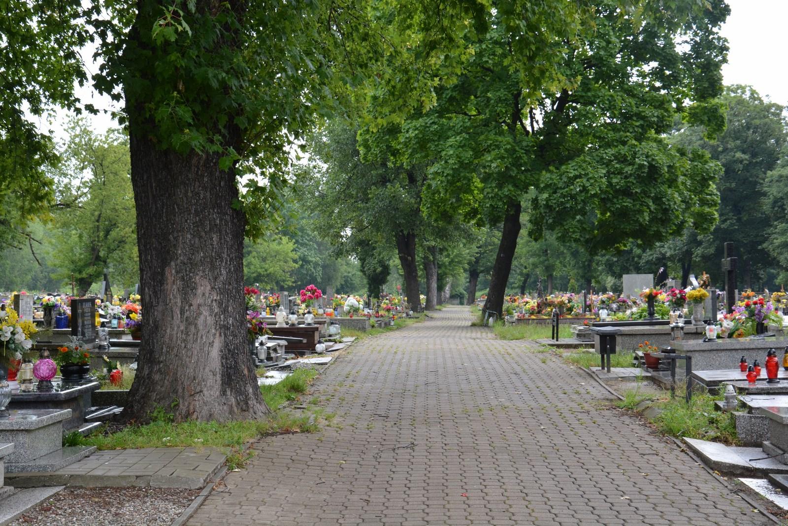 Cmentarz w Katowicach Szopienicach