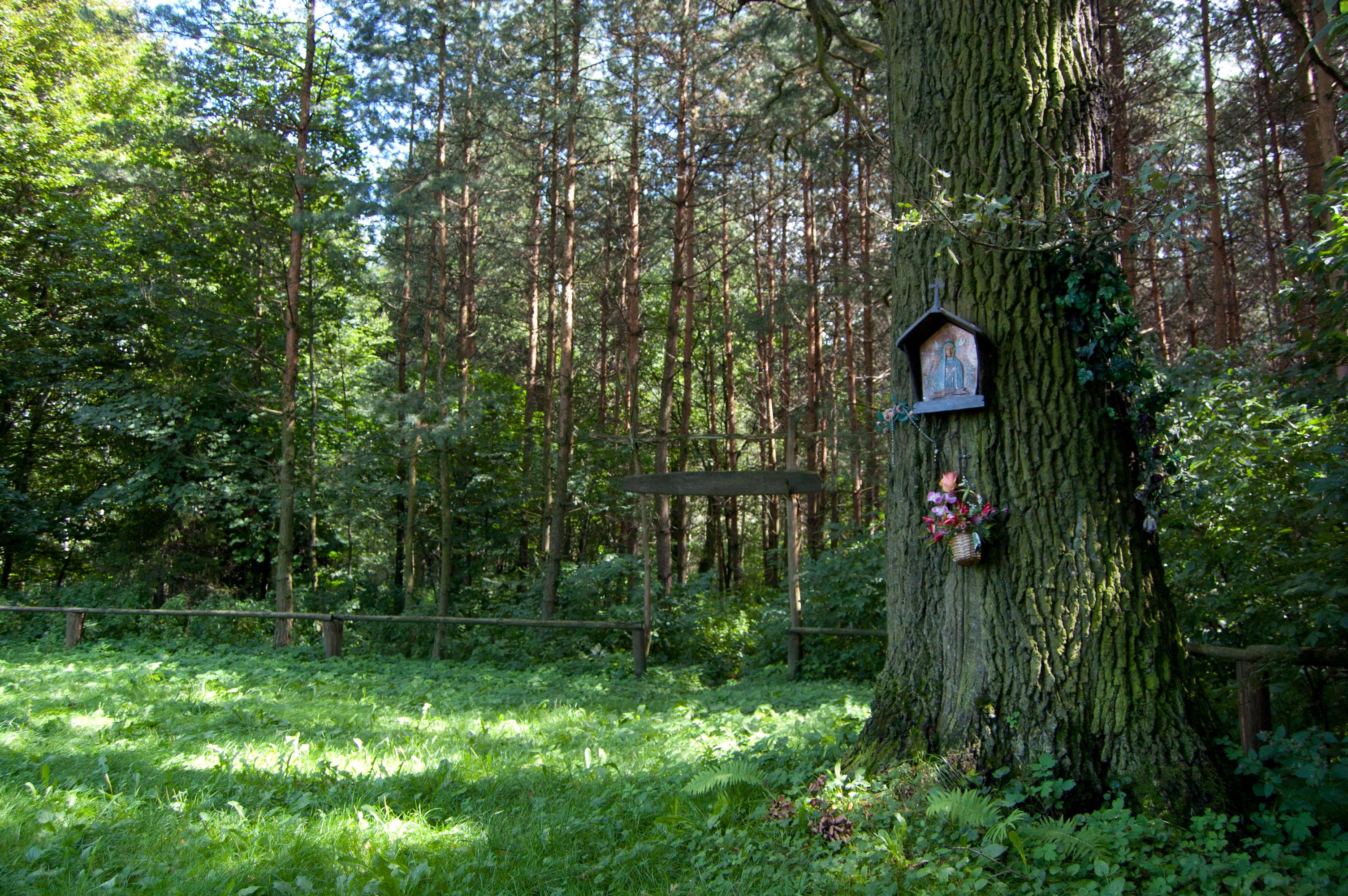 Kapliczka na drzewie w lesie