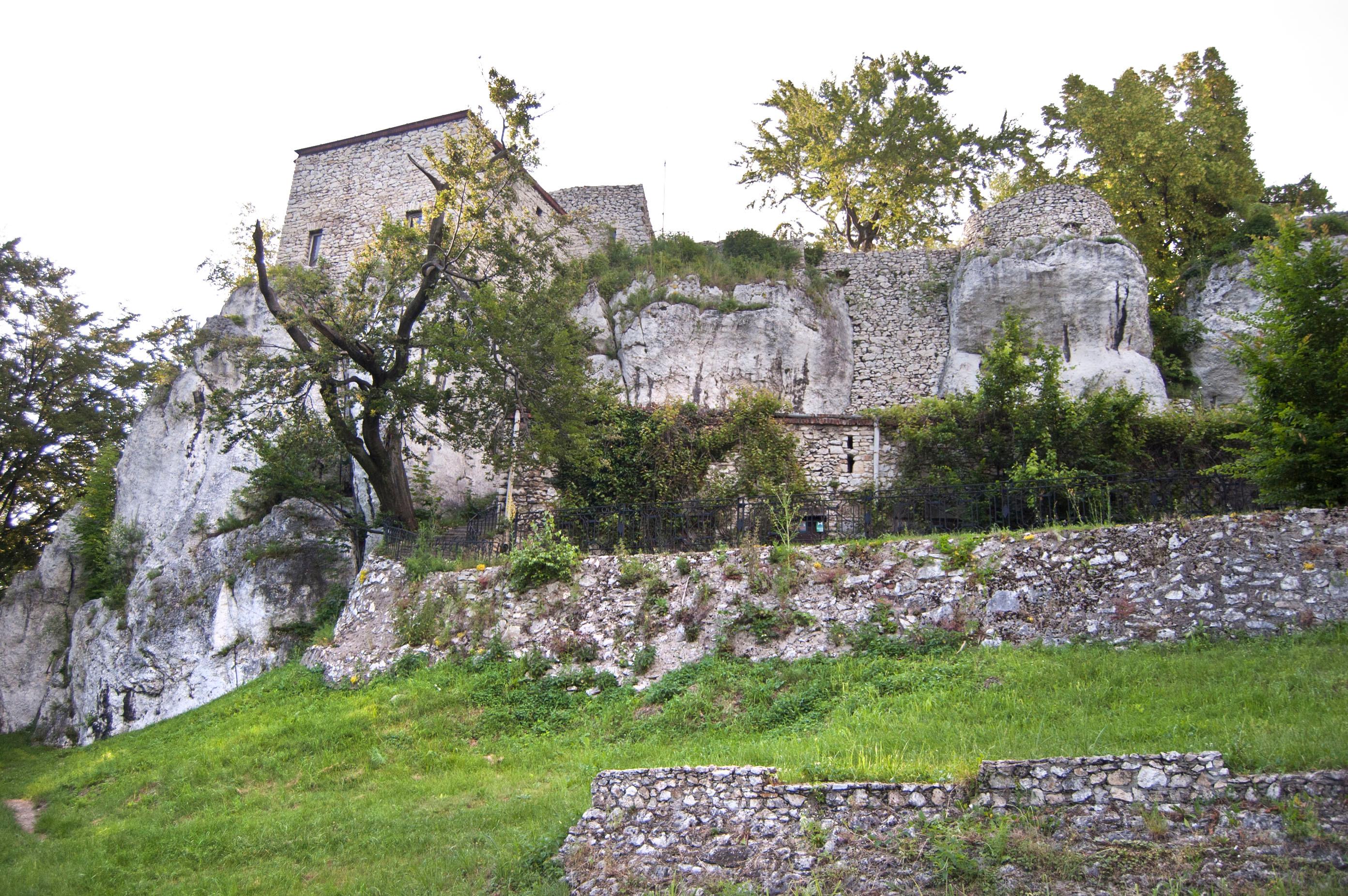 Zamek "Bąkowiec"