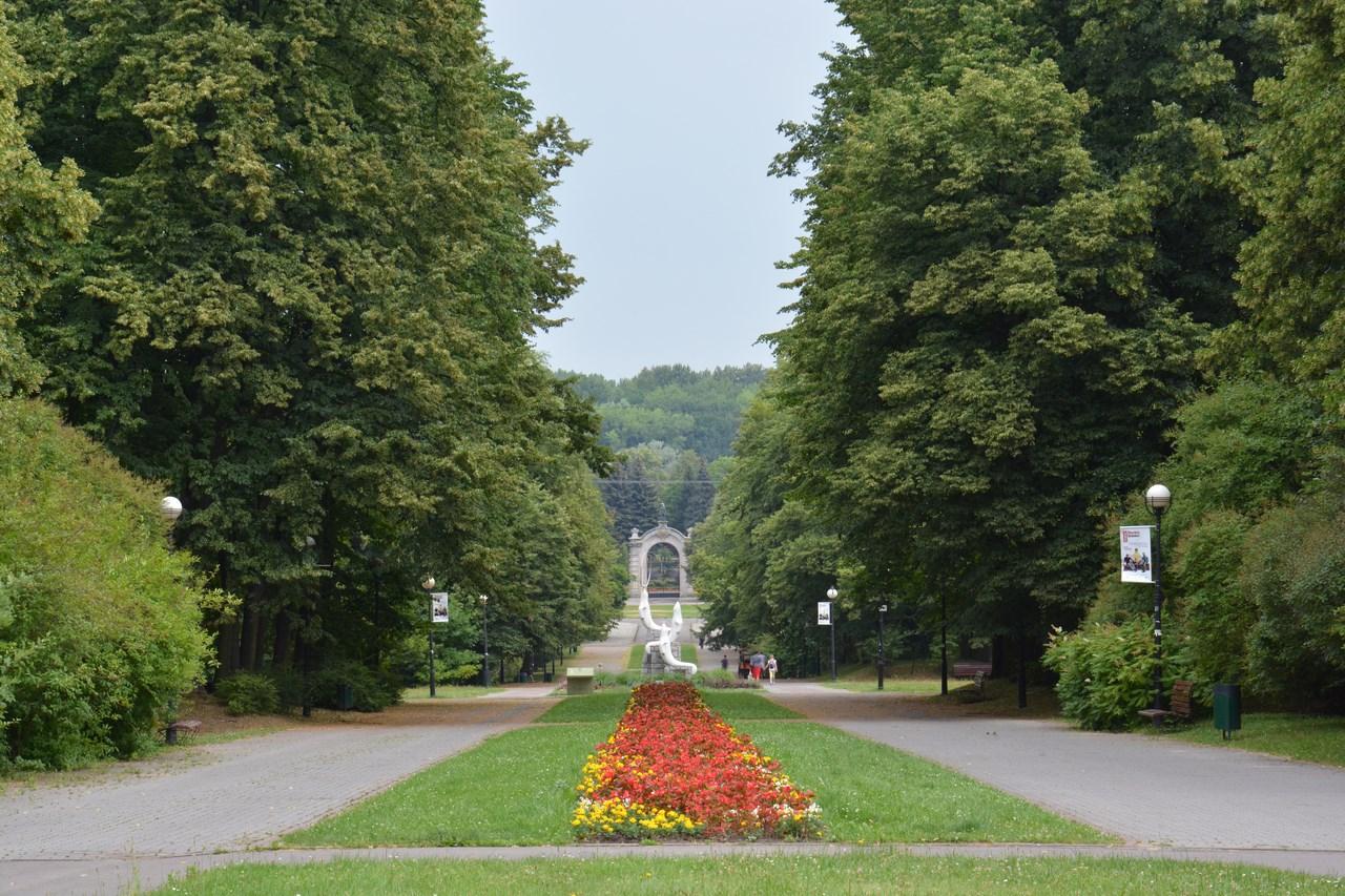 Ścieżka w parku