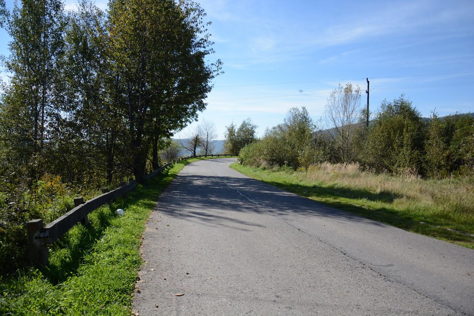 Ulica otoczona trawą