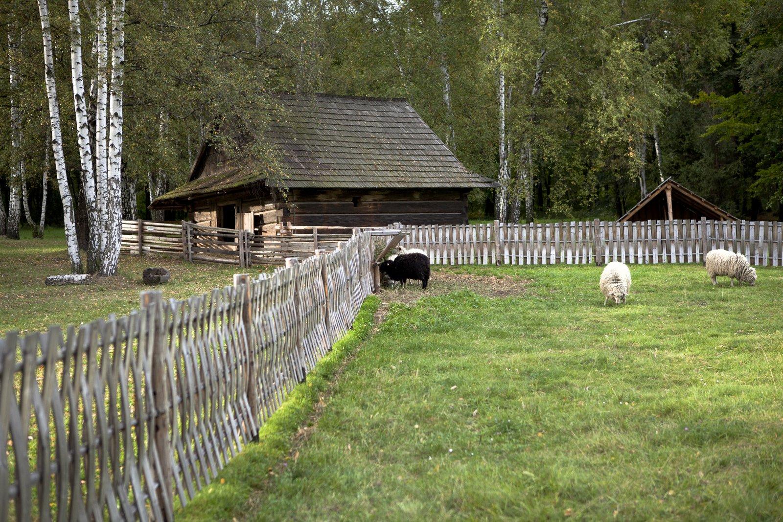 Górnośląski Park Etnograficzny w Chorzowie