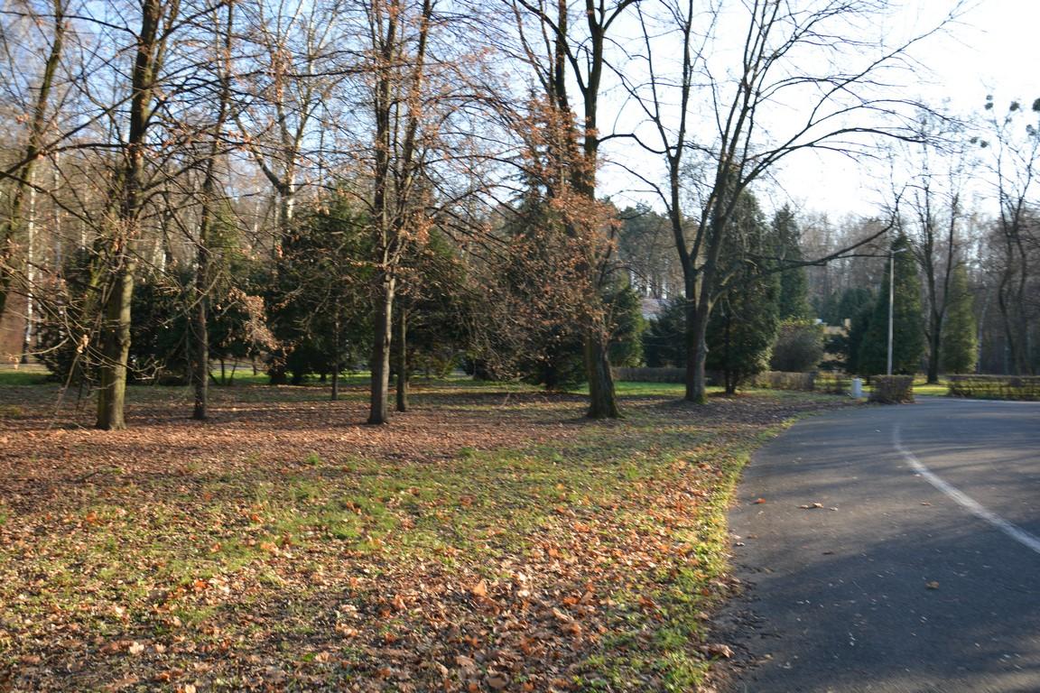 Park w Rogoźniku