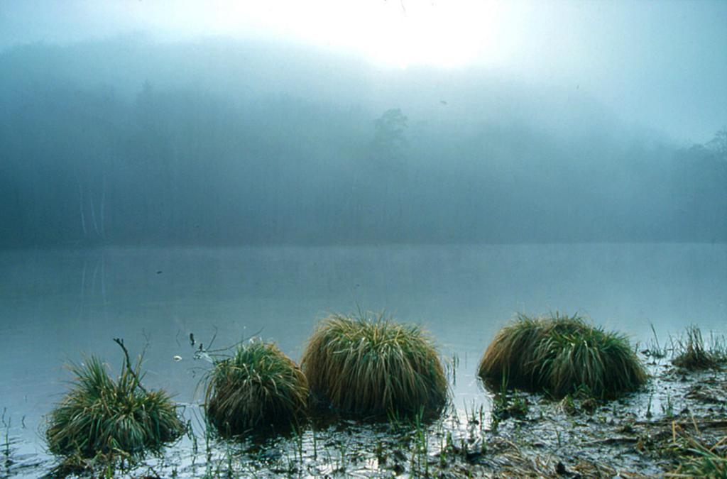 Zamglony staw