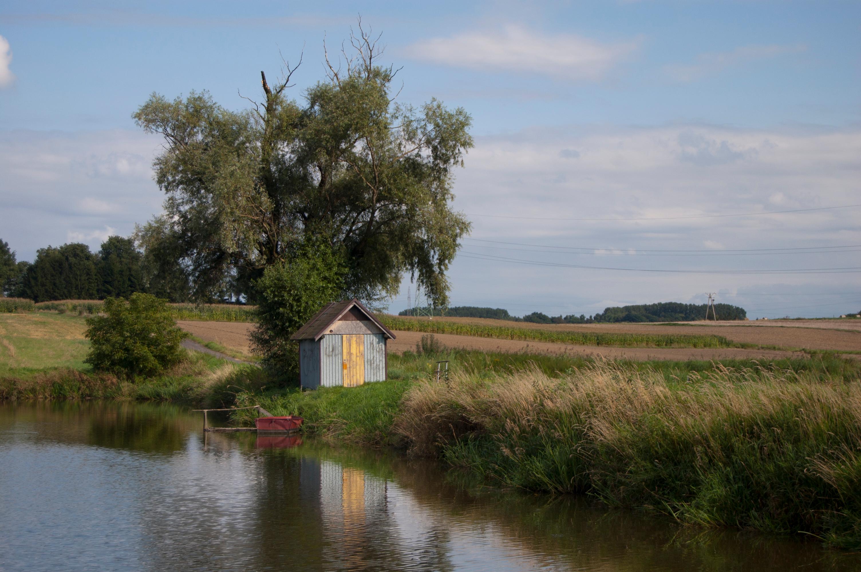 Przydrożny staw w Pszczynie