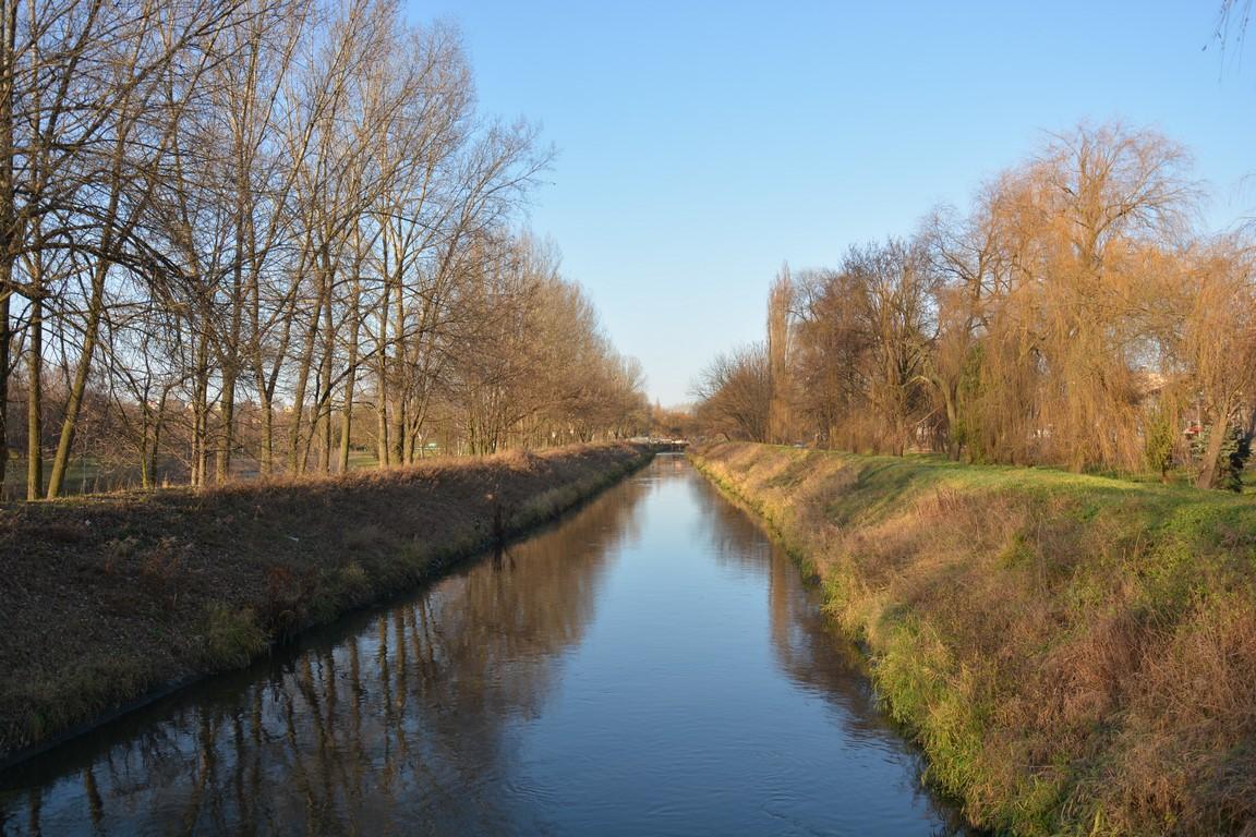 Rzek w lesie
