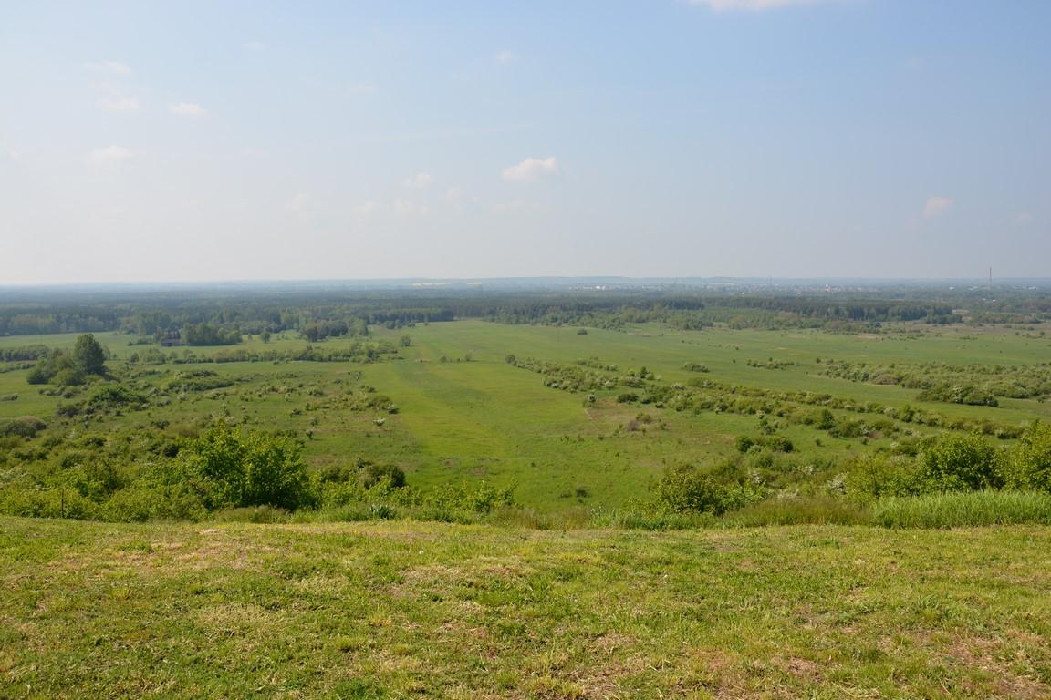 Zielona łąka