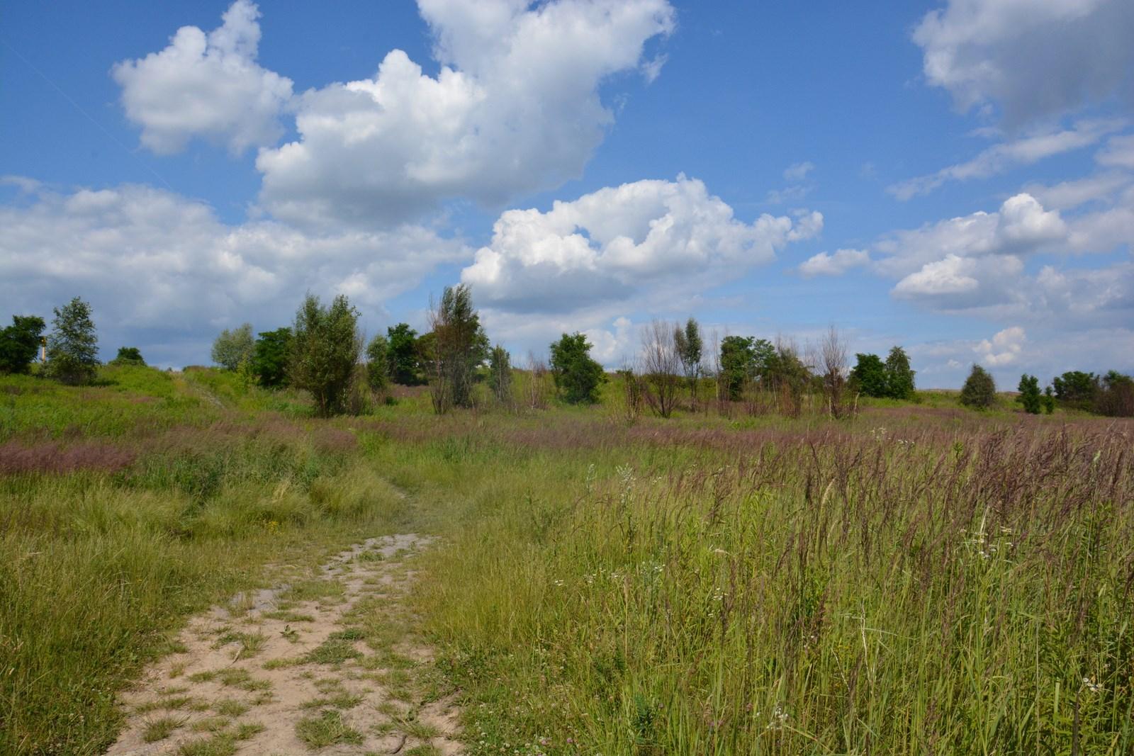 Hałda Wełnowiec cała zielonej trawie