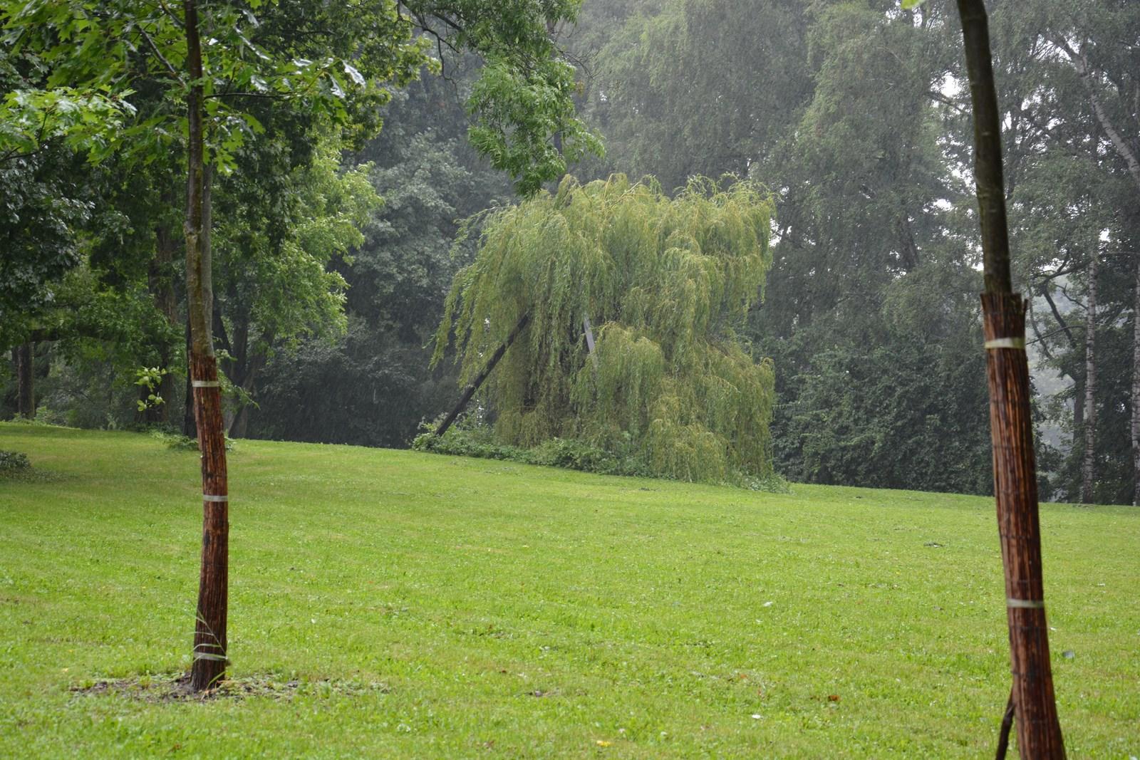 Park