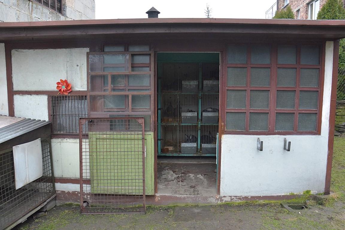 Budynek króliczarni
