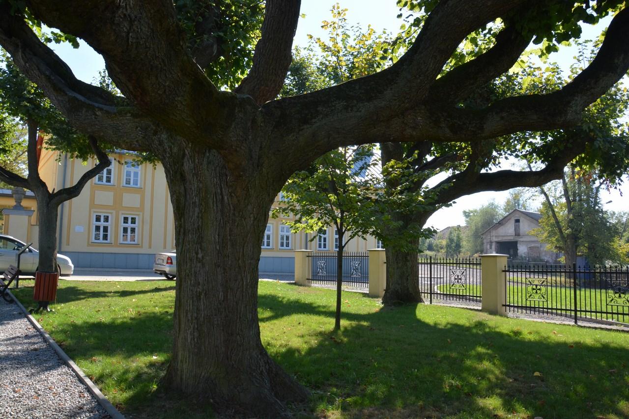Park przed pałacem