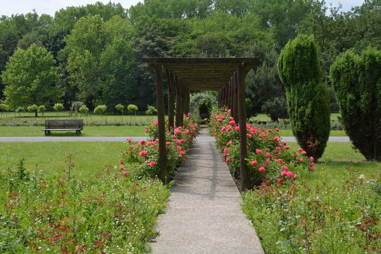 Rosarium w Parku Śląskim