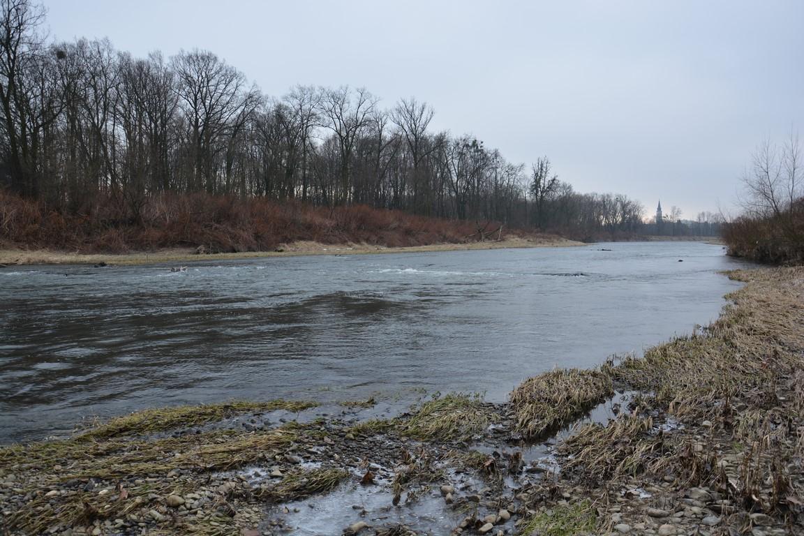 Rzeka Odra