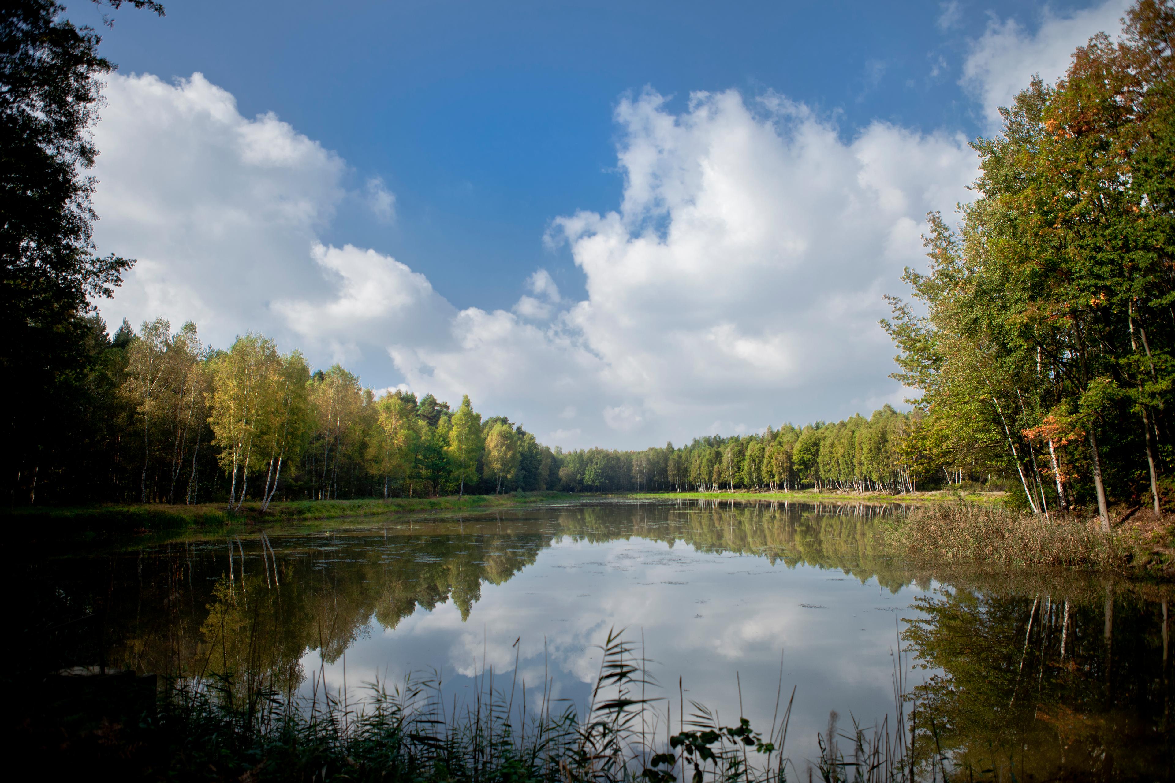 Łowisko otoczone lasami