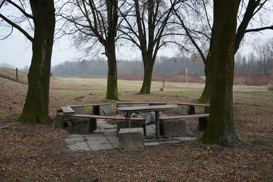 Palenisko nad Odrą