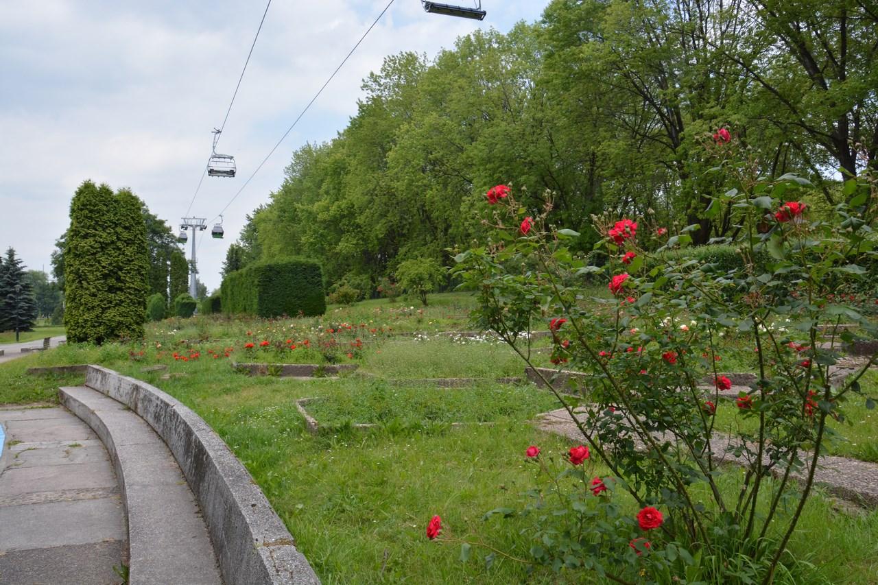 Rosarium w Parku Śląskim