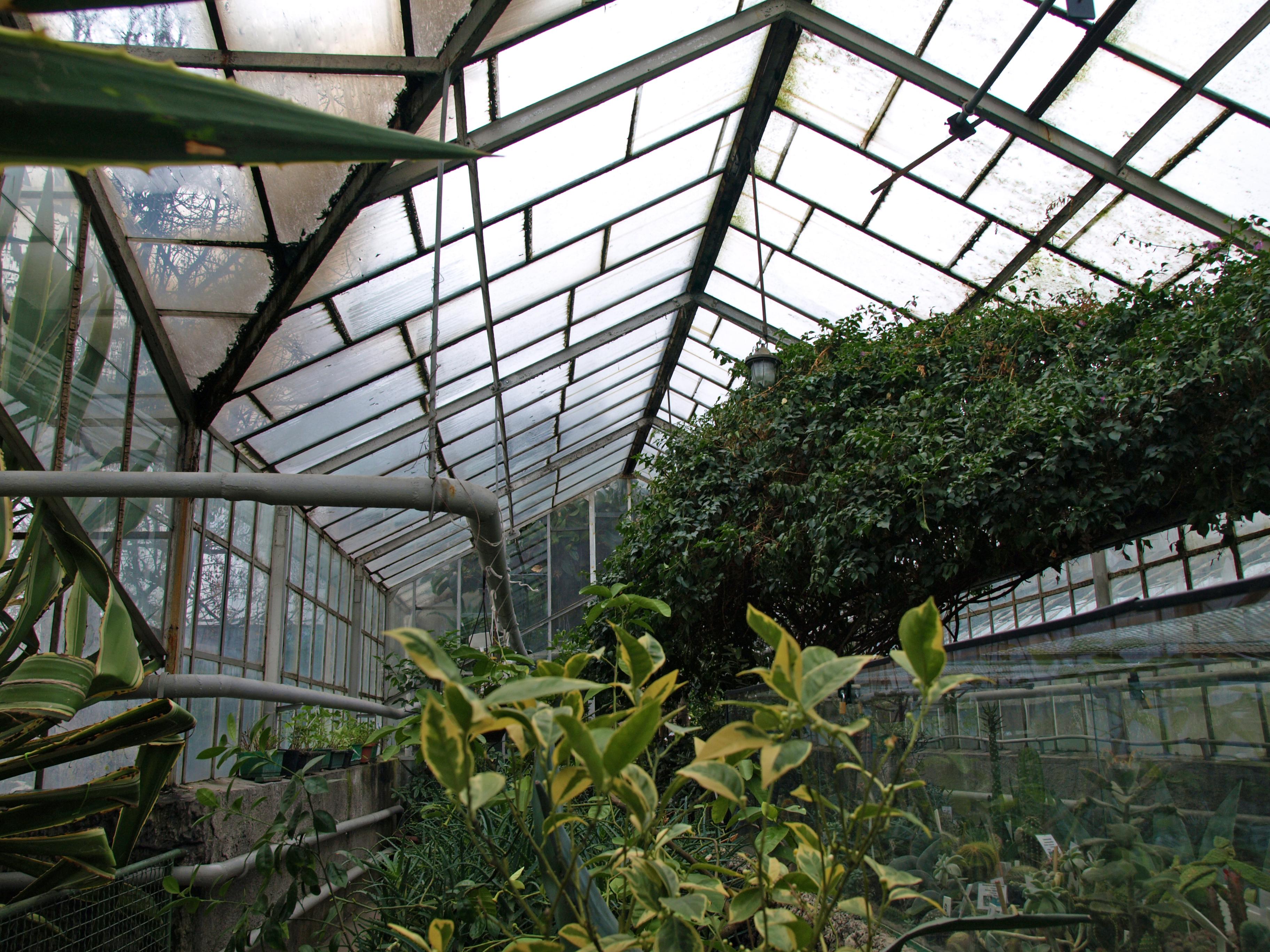 Wnętrze egzotarium