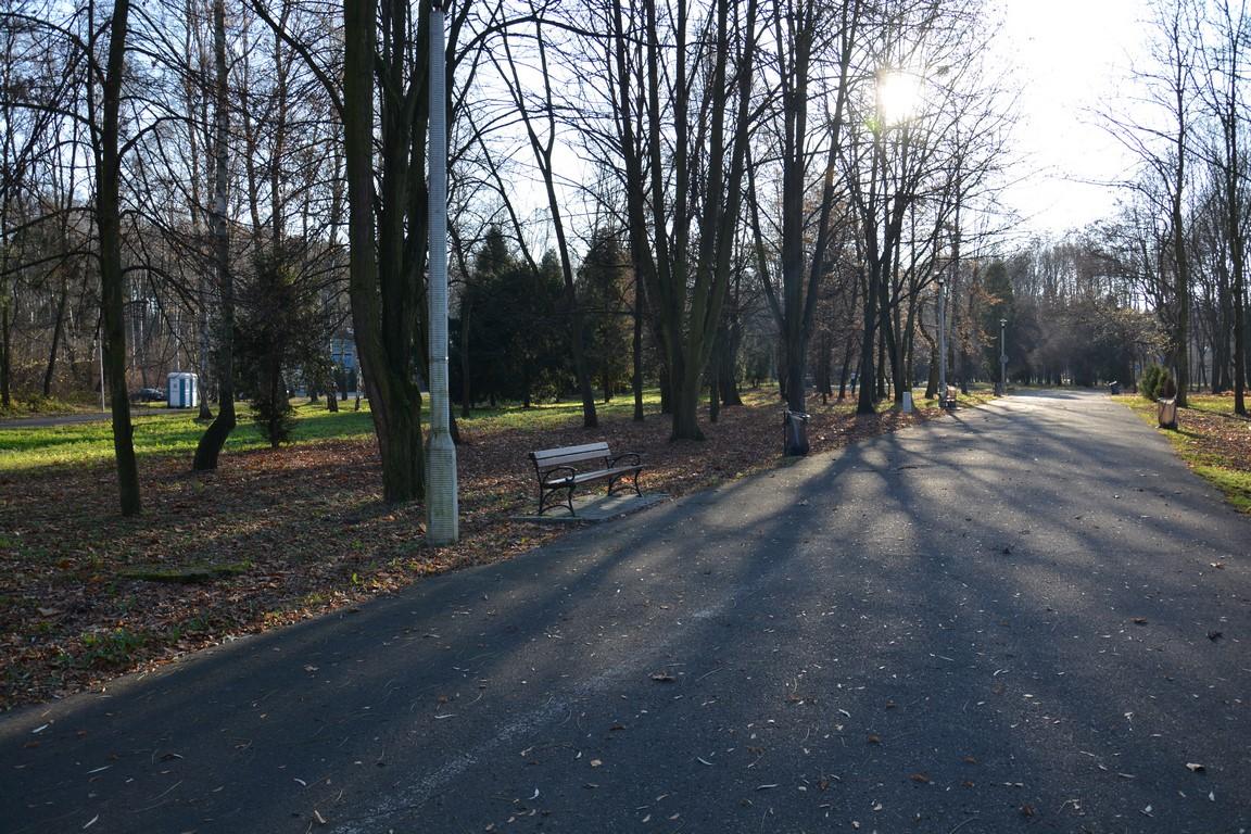 Park w Rogoźniku