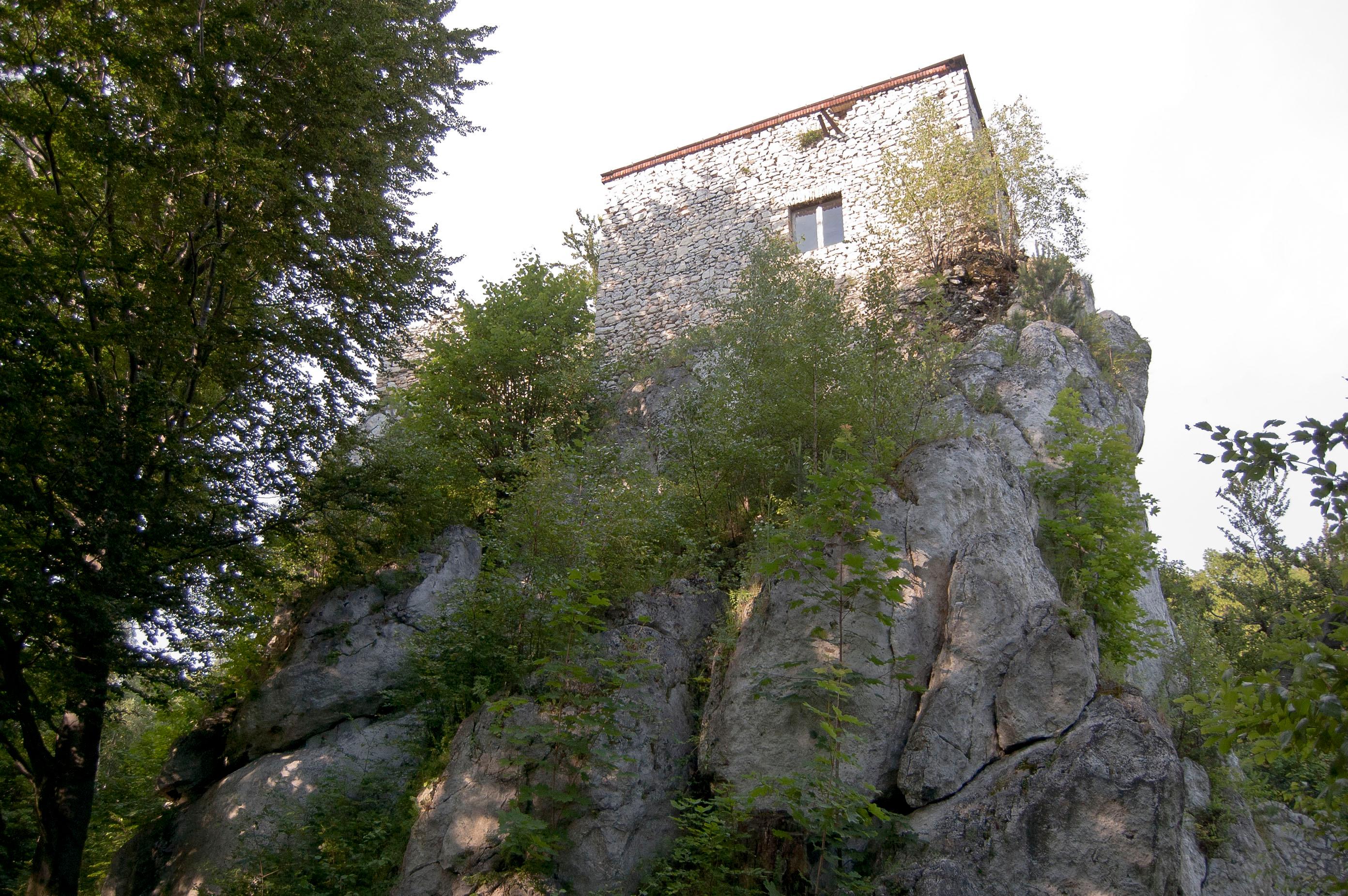 Zamek "Bąkowiec"