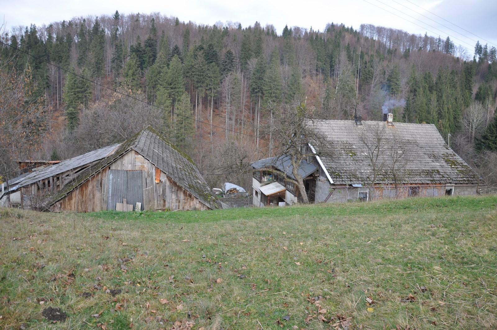 Łąka z widokiem na las i zabudowania