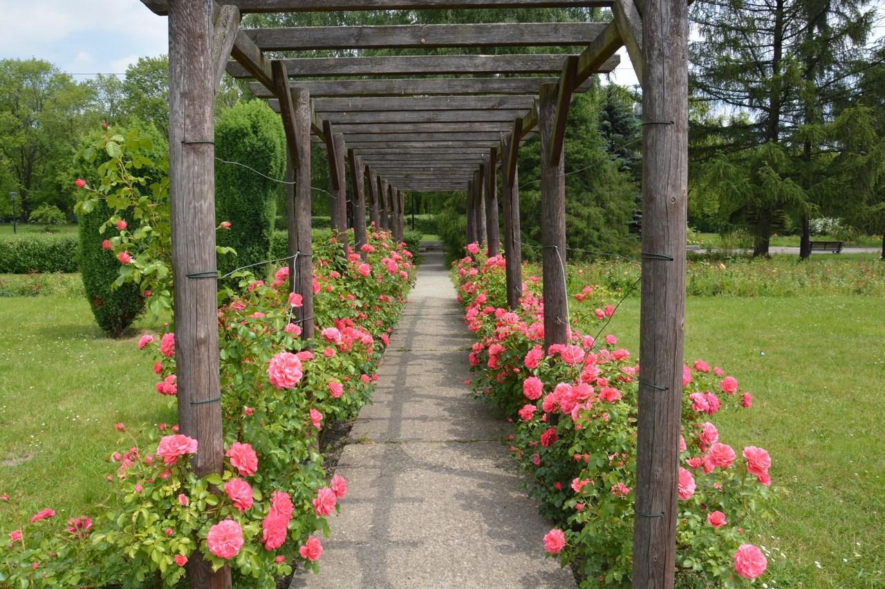 Rosarium w Parku Śląskim