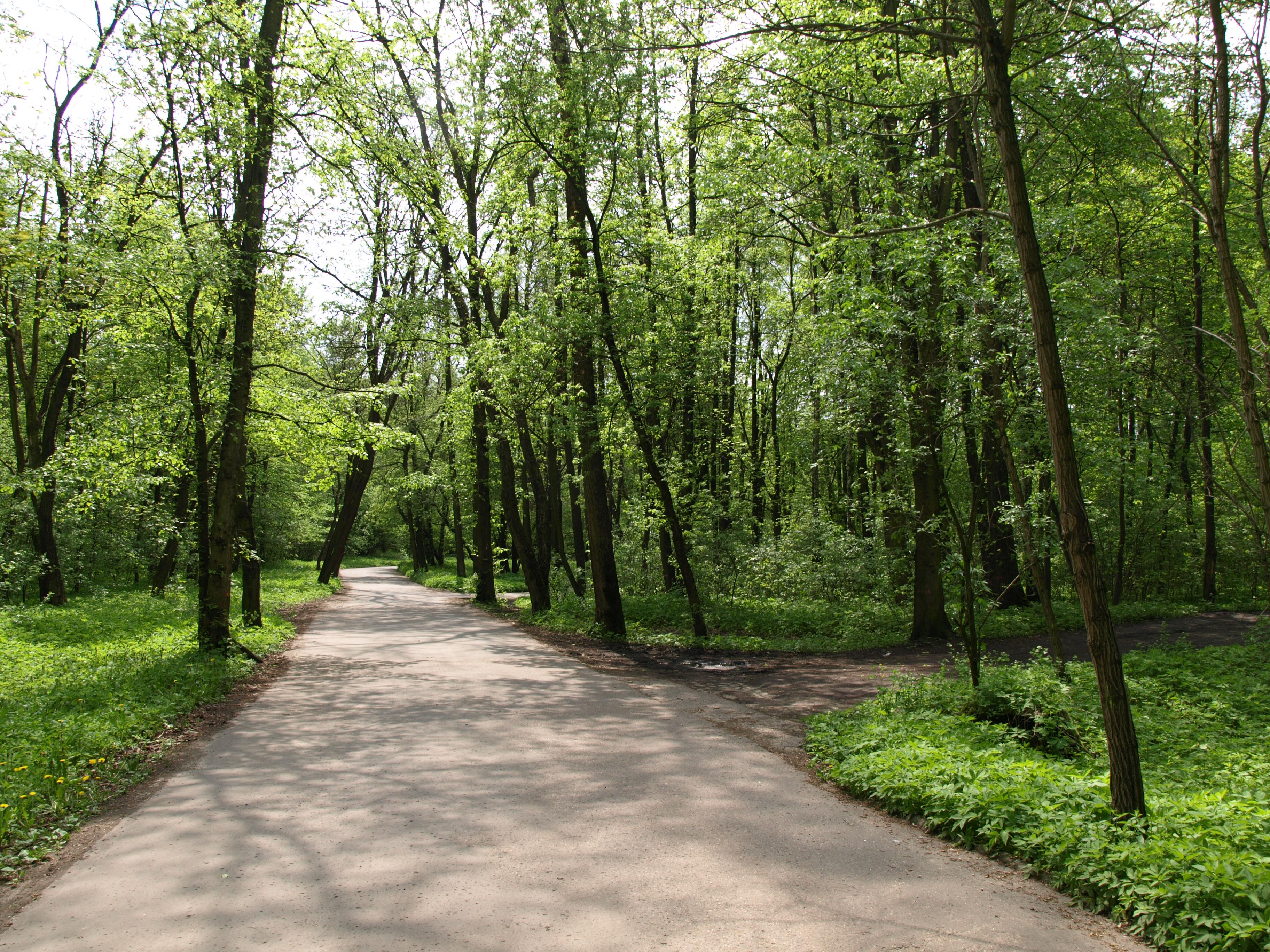Zielony park