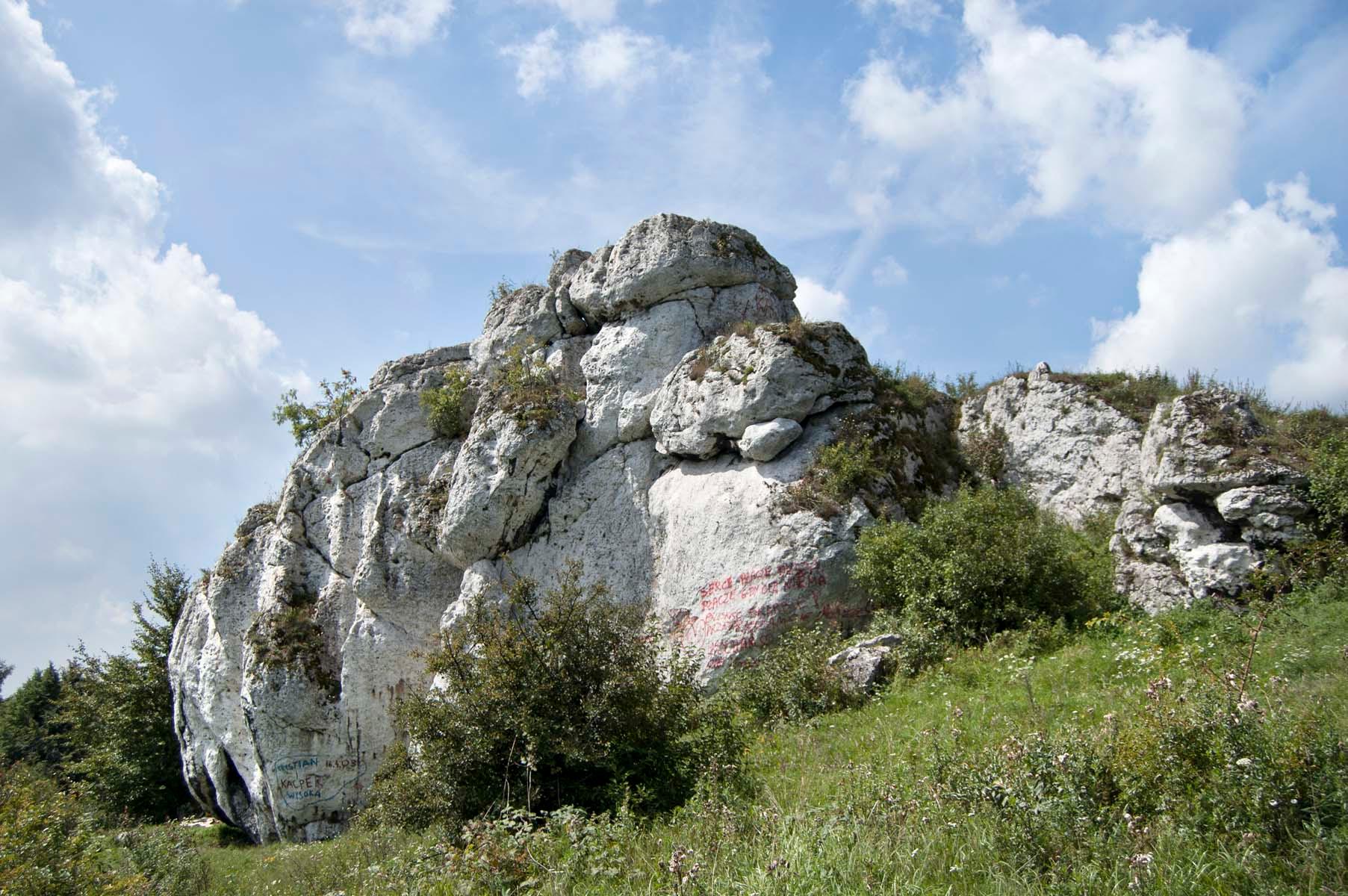 Jura Krakowsko-Częstochowska ze skałami i zieloną roślinnością
