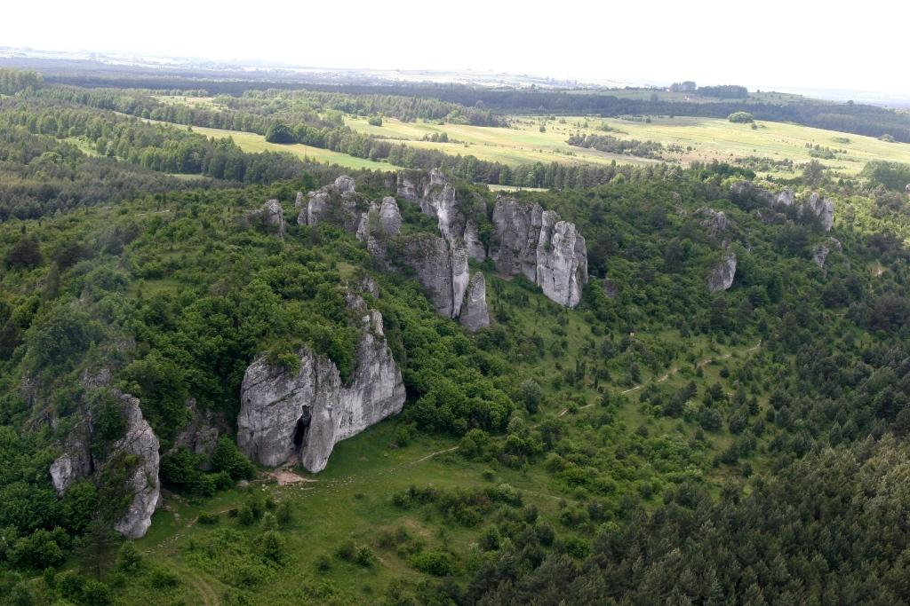 Wał skalny wśród zieleni