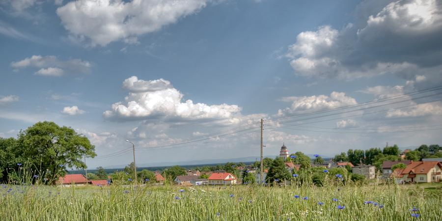 Łąka z zabudowaniami