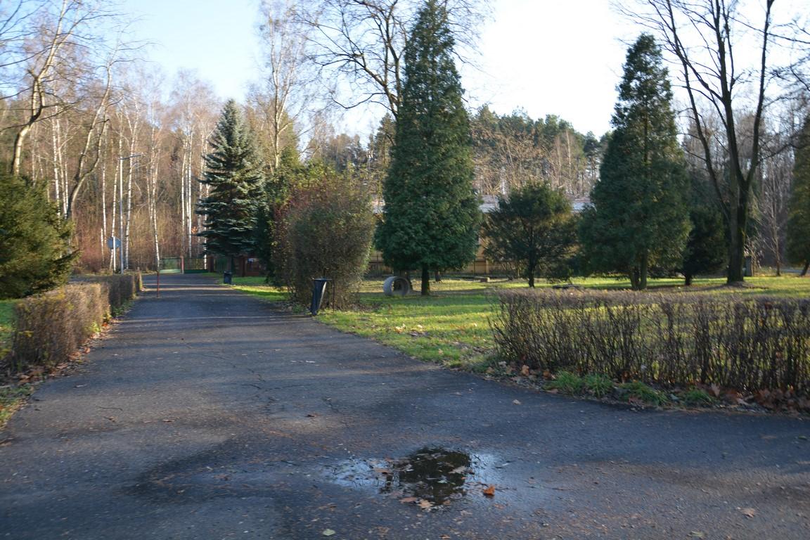 Park w Rogoźniku