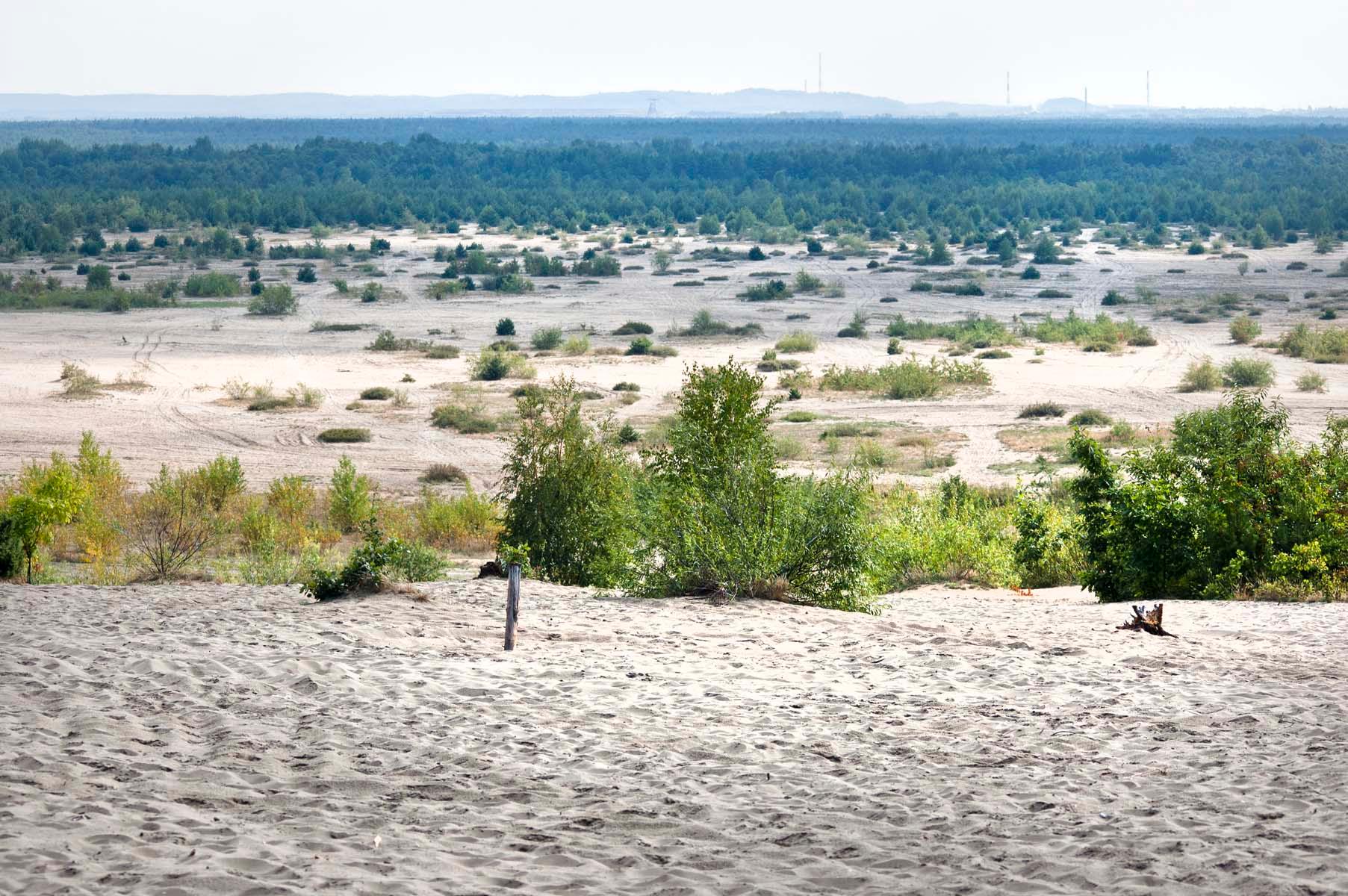 Pustynia błędowska