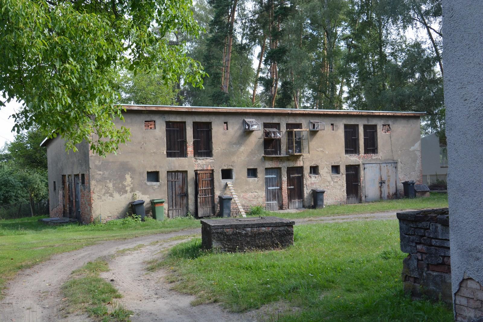 Gołębniki w Nędzy