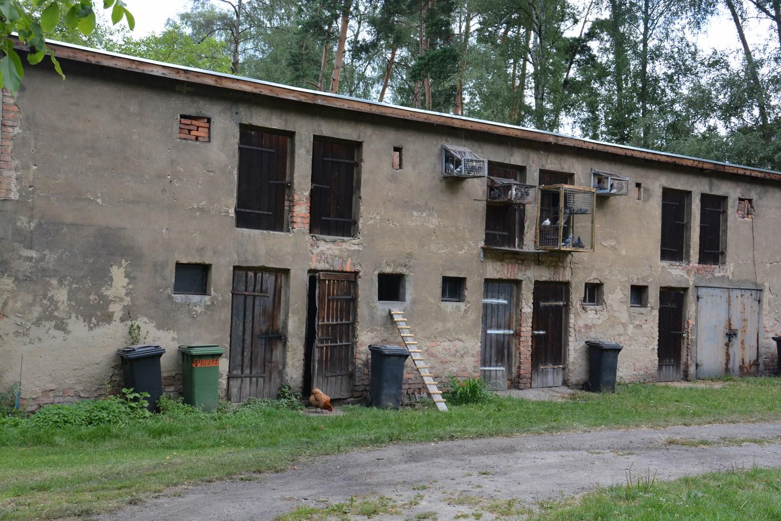 Gołębniki w Nędzy